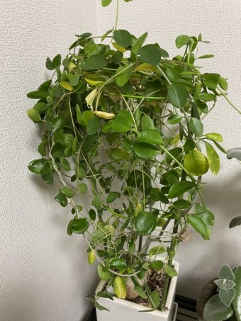 IMG_0448 IMG_0448-e1659573663380